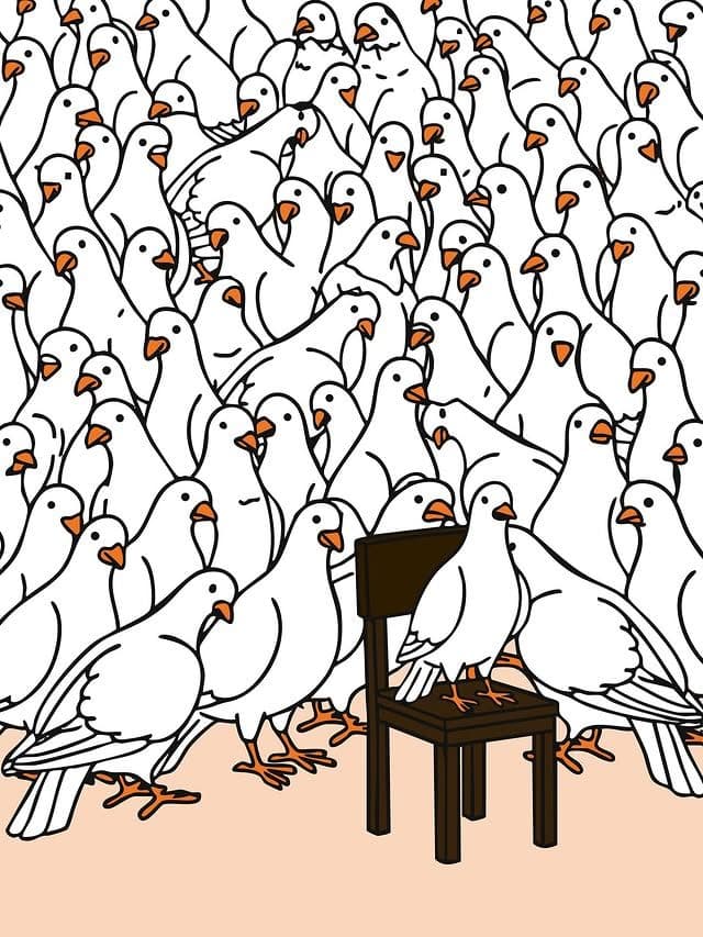 Pigeon crowd illustration — one bird on a chair, the rest standing