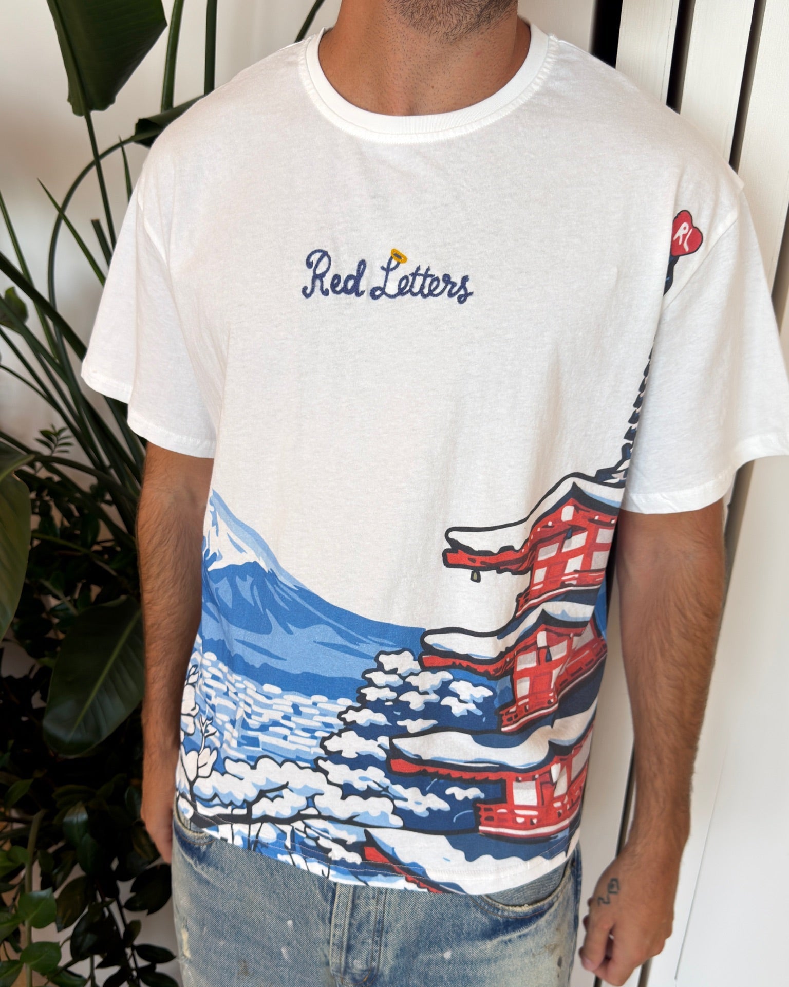Japan Fuji Tee