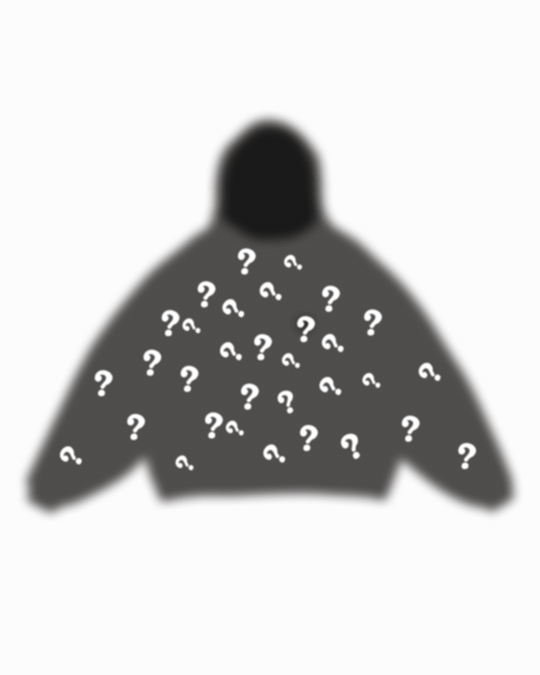 Mystery Hoodie by Red Letters