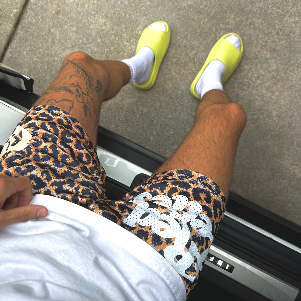 Leopard Print Mesh Shorts