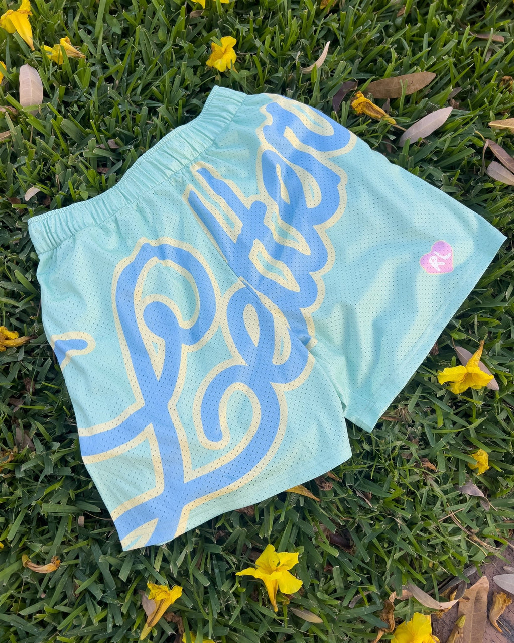 Letters Mesh Shorts - Easter by Red Letters