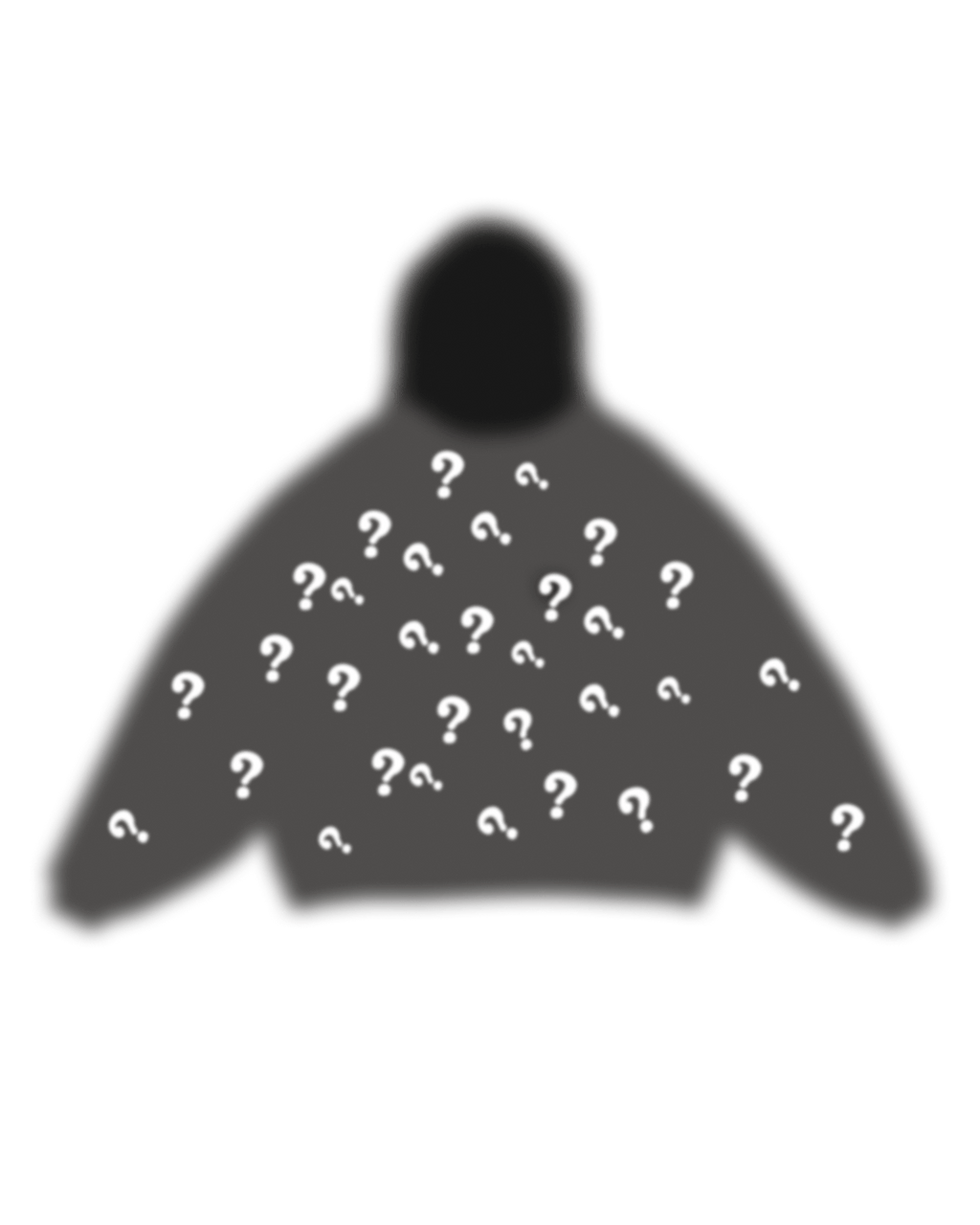 Mystery Hoodie by Red Letters by Red Letters