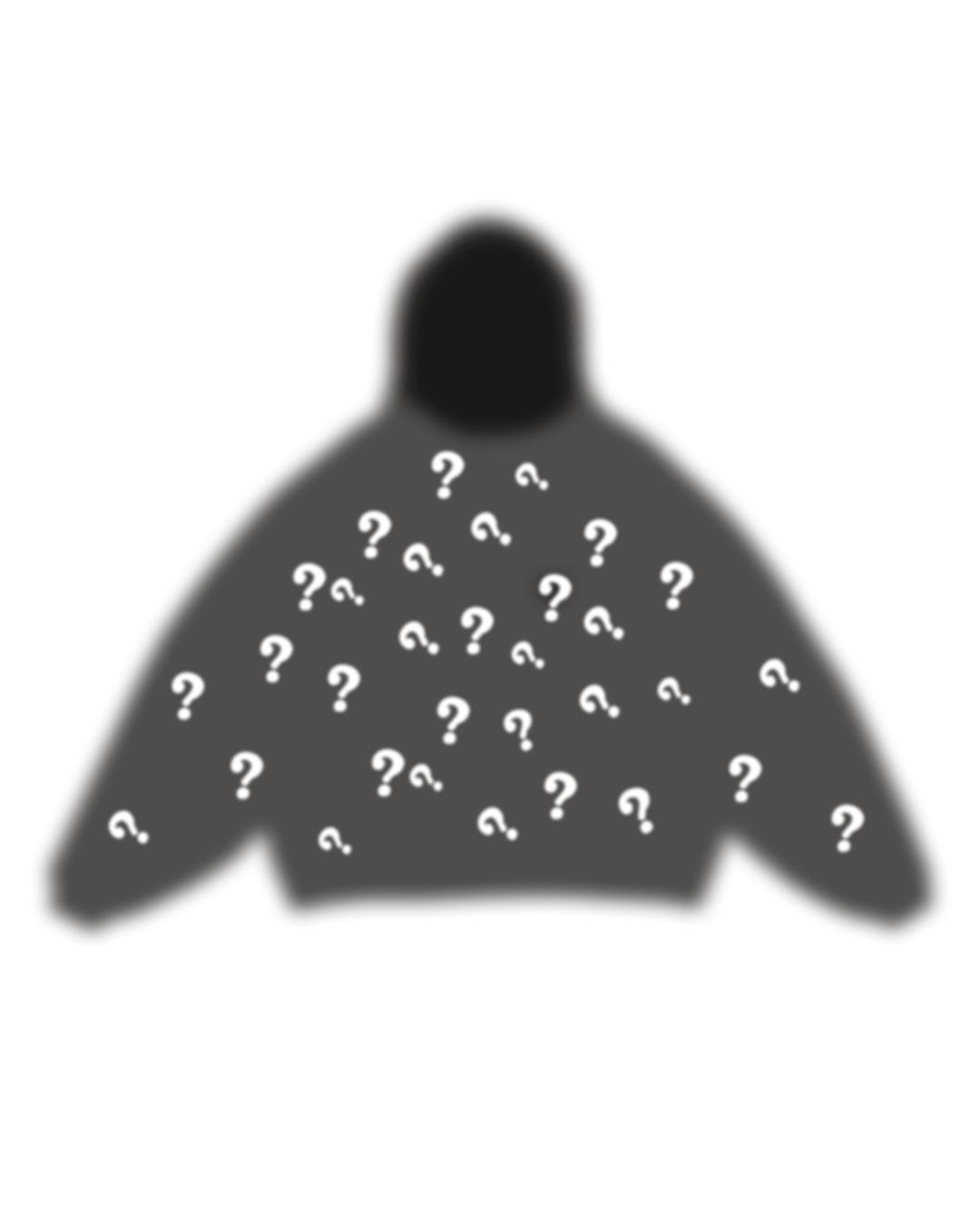 Mystery Hoodie by Red Letters by Red Letters